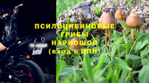 герыч Алзамай