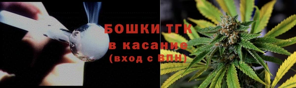 индика Арсеньев