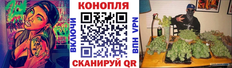 МАРИХУАНА семена  закладки  Кувшиново 